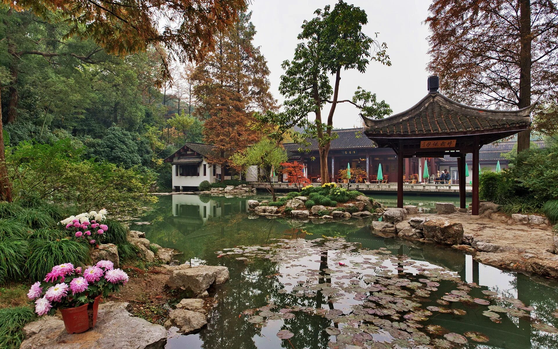 Китайский сад фото Фотографии Hangzhou Botanical Garden.Китай Природа Парки 1920x1200