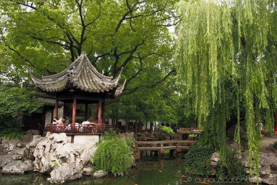 Китайский сад фото The Enchanting Yuyuan Gardens, Shanghai curiouscatontherun