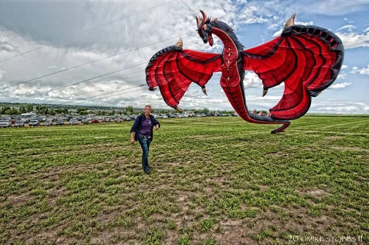 Китайский змей фото dragon kites - Dragon kite, Go fly a kite, Kite