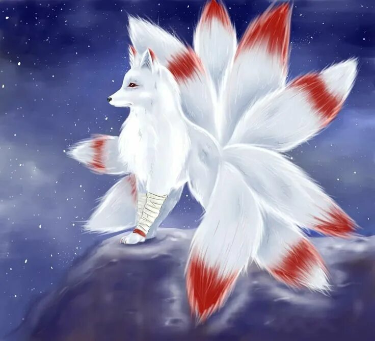 Кицунэ фото животного kitsune nagitsune кицуне нагицуне лиса девятихвостая лиса арт art fox белая лиса