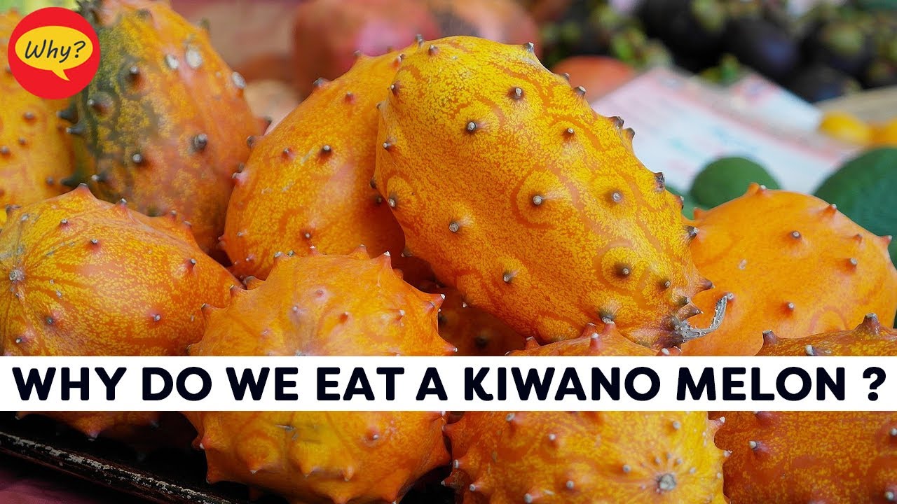 Кивано фрукт фото Why do we eat a Kiwano Melon ? Fascinating facts #34 Why Things Happen - YouTube