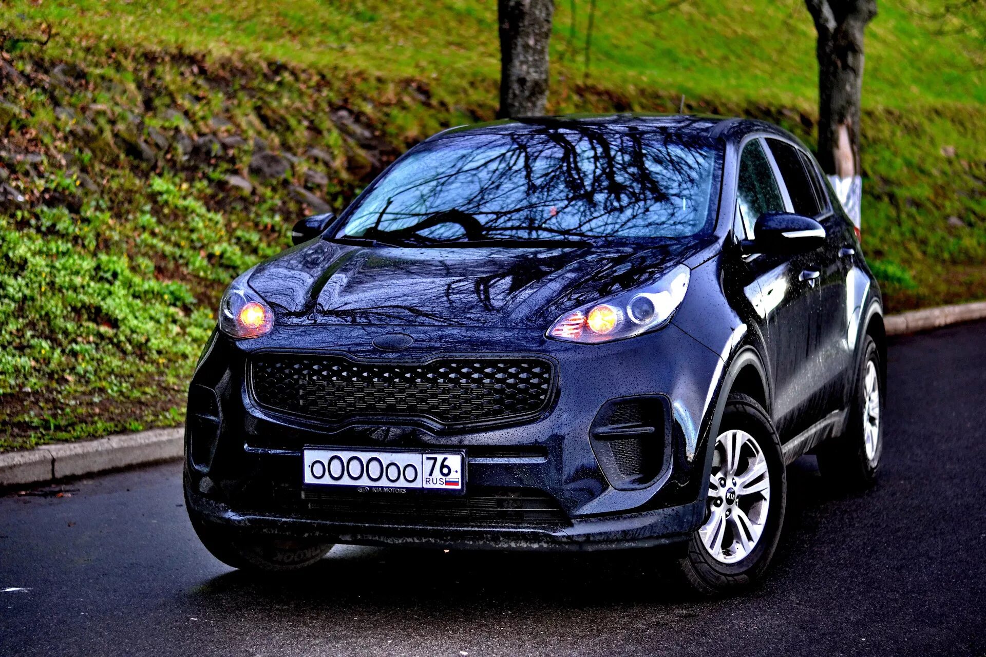 Кия жук фото Сетик без хрома - KIA Sportage (4G), 2 л, 2016 года фотография DRIVE2