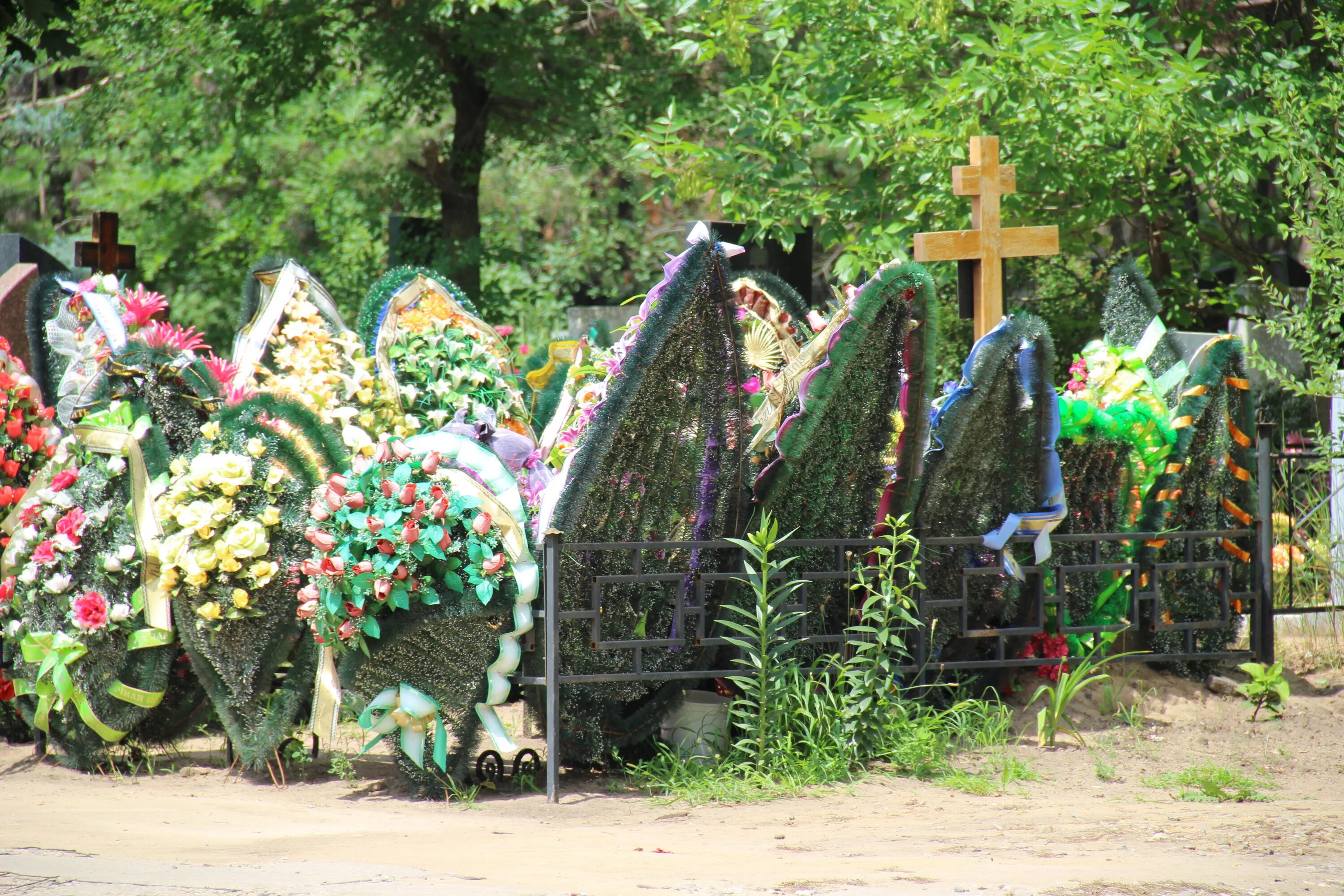 Кладбища воронежа фото В районе Воронежской области не утвердили порядок создания семейных захоронений