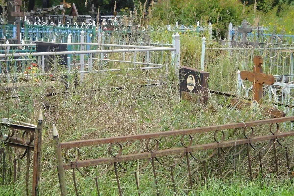 Кладбище села фото Кладбище в селе Старица оказалось безучетным - МК Оренбург