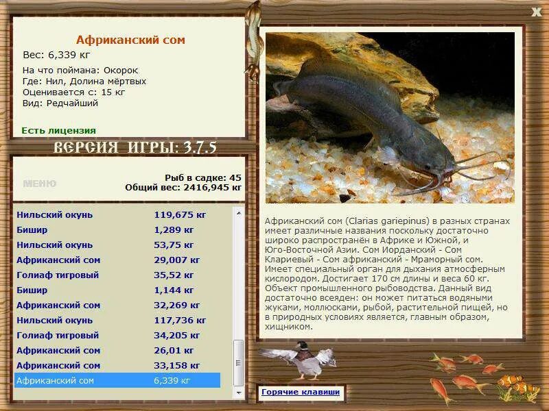 Клариевый сом на что ловить РУССКАЯ РЫБАЛКА Installsoft Edition