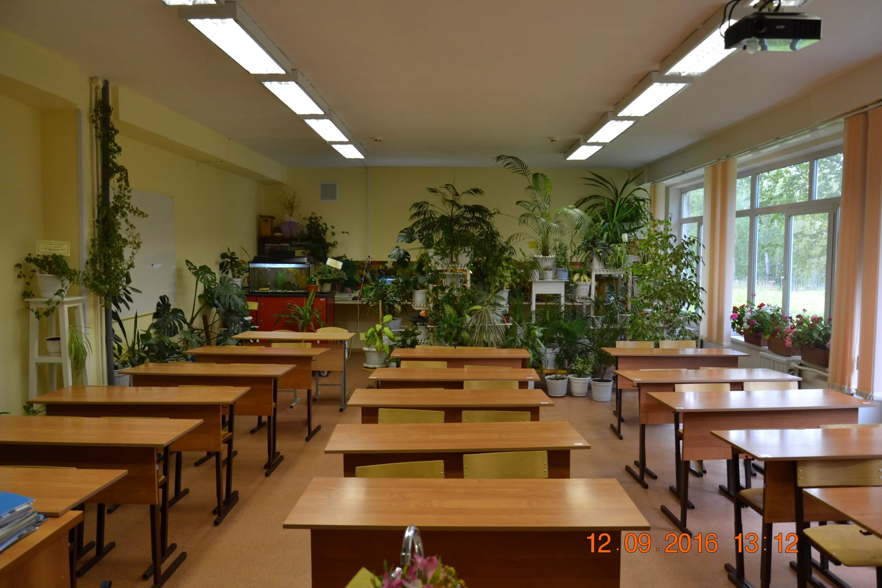 Класс биологии фото Работа кабинета биологии