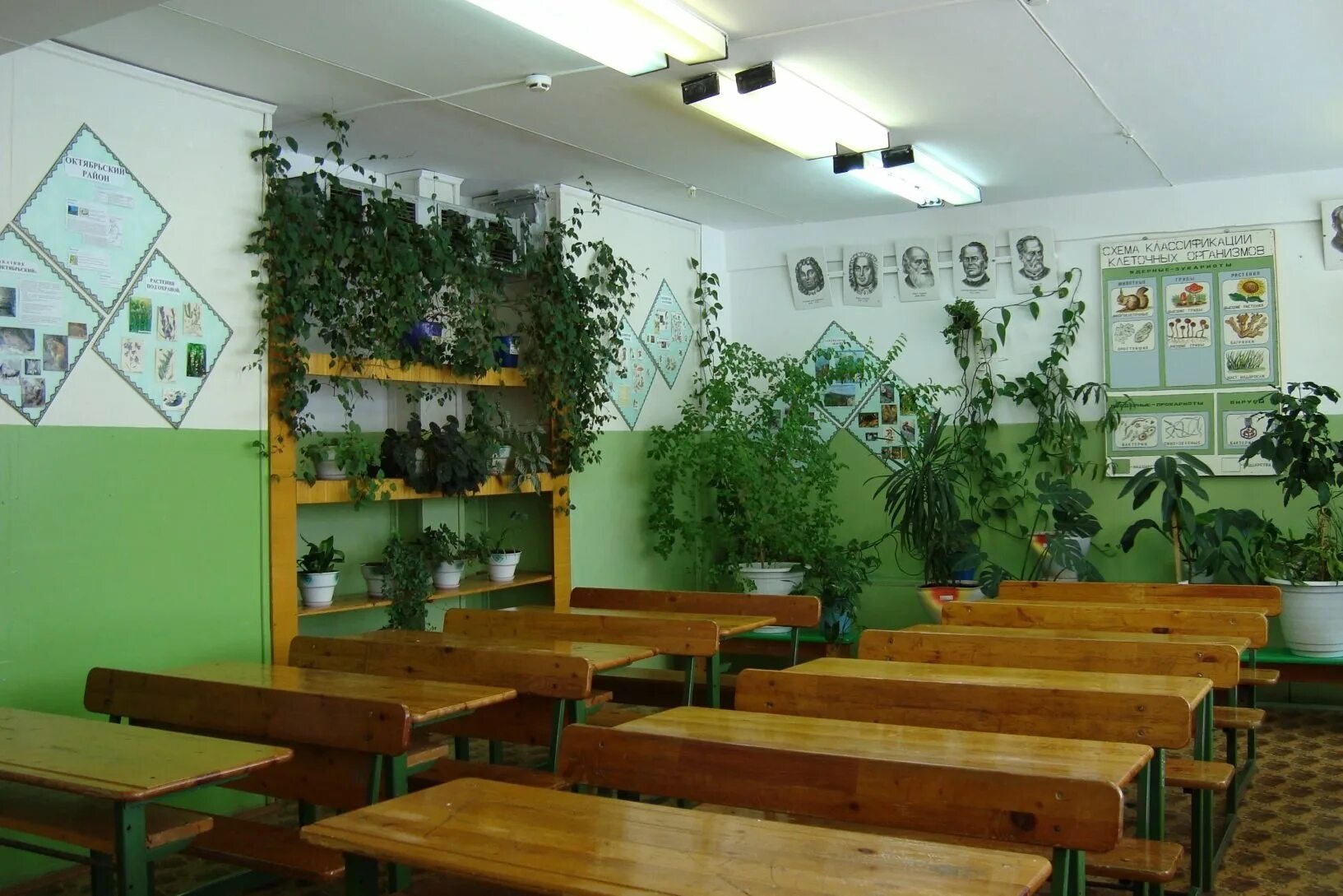 Класс биологии фото Проект озеленение класса