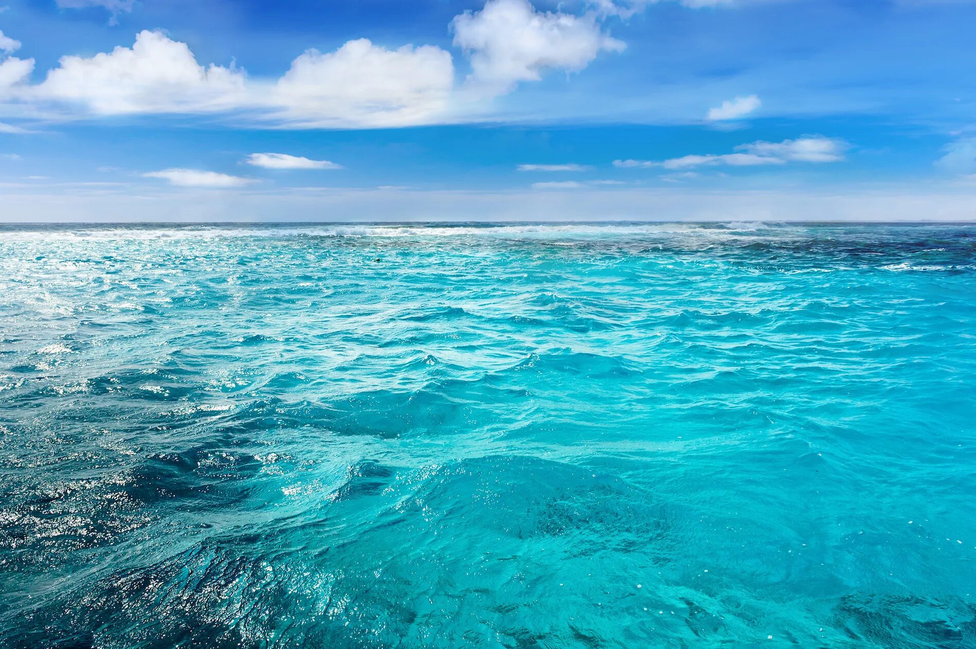 Класс фото моря Study: Depleted oceans could take a million years to recover - Earth.com