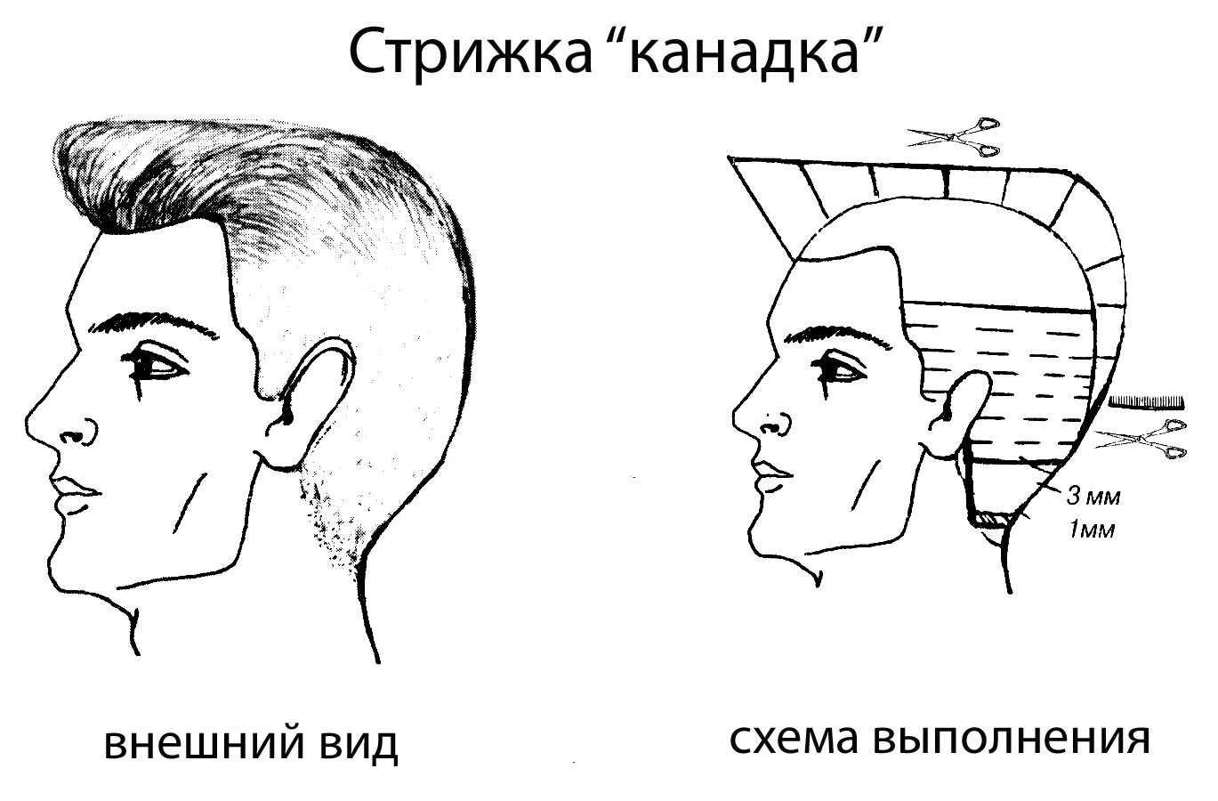 Классическая мужская стрижка технология канадка стрижка: 24 тыс изображений найдено в Яндекс.Картинках Стрижка канадка, 
