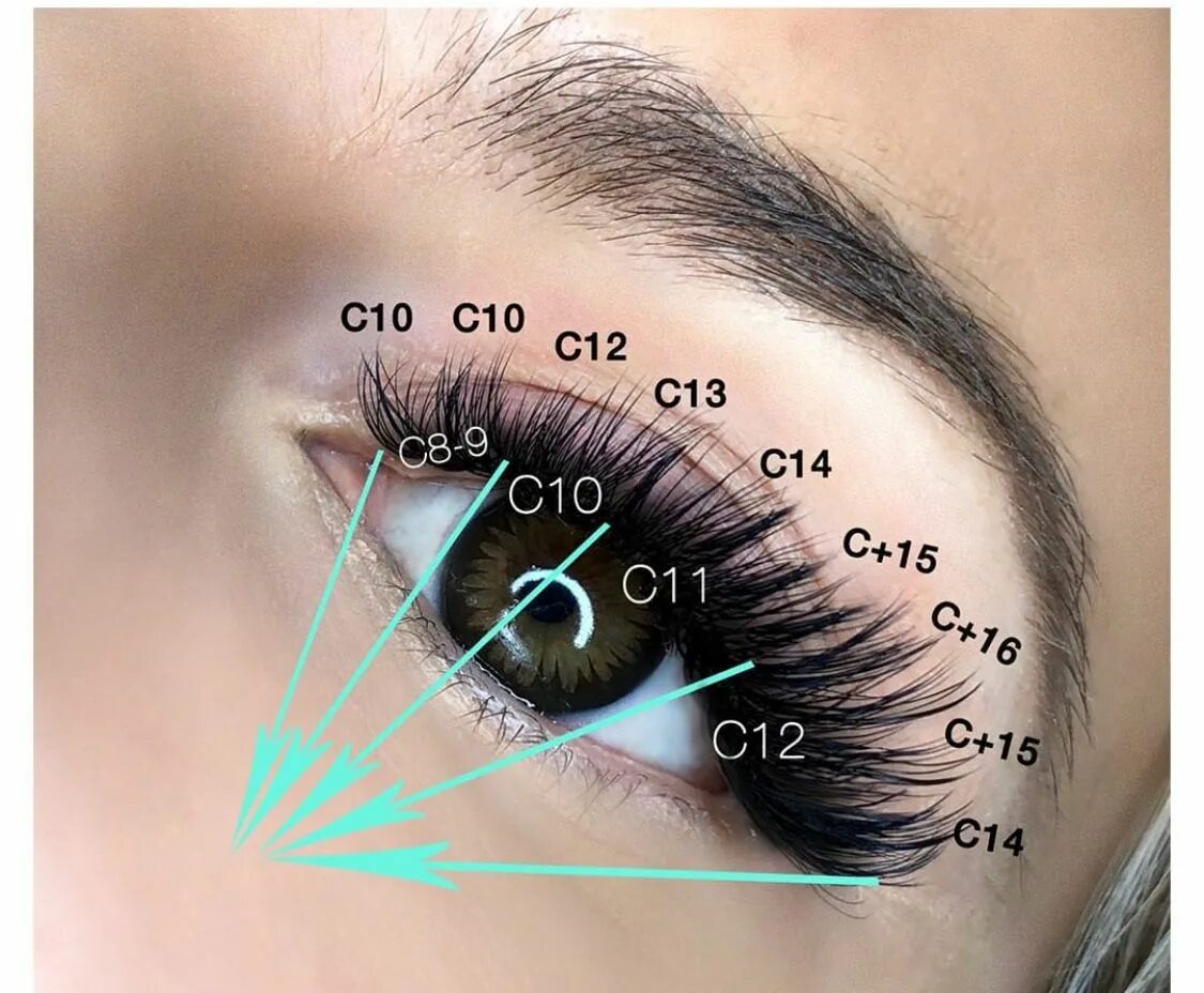 Классическое наращивание ресниц фото схема Pin on Lash skills Eyelash extensions, Eyelashes, Cheap eyelashes