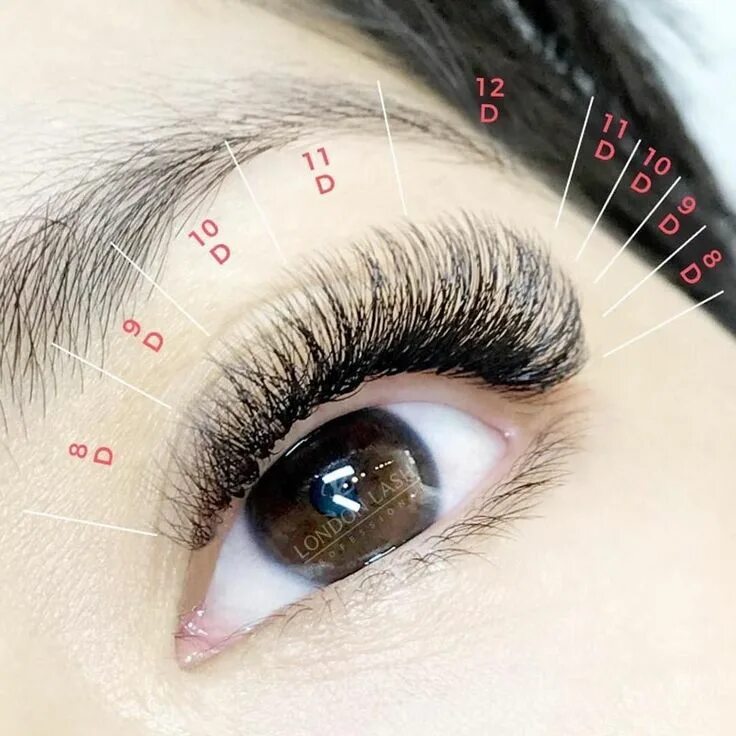 Классическое наращивание ресниц фото схема Pin on Lashes Eyelashes, Eyelash extensions, Lashes