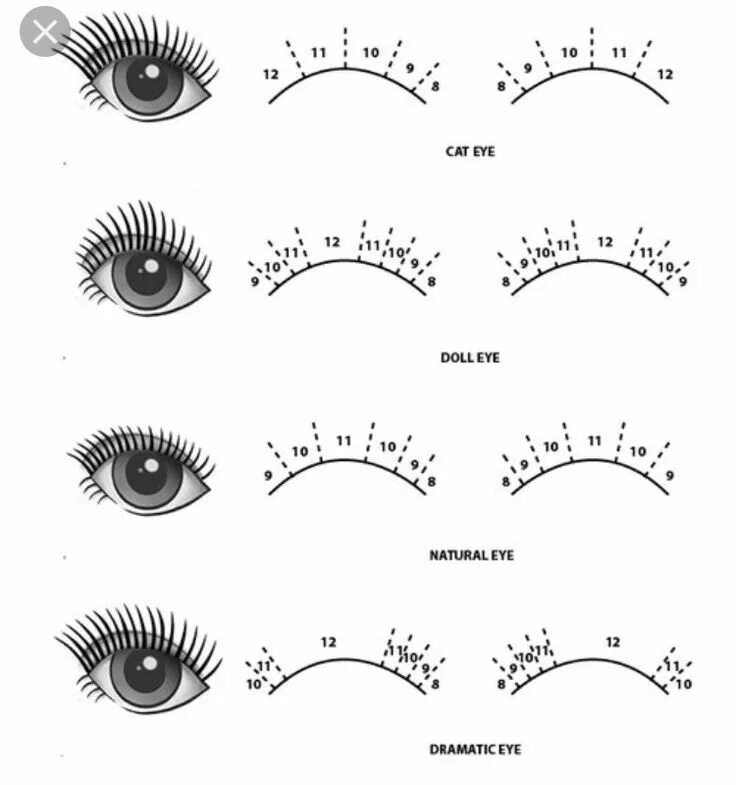 Классическое наращивание ресниц фото схема Cat Eye, Doll Eye, Natural Eye, Dramatic Eye - Beauty & Makeup Eyelash extention