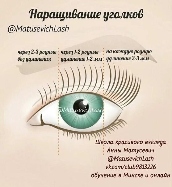 Классическое наращивание ресниц фото схема Пин от пользователя Наталія Мигас на доске ресници Ресницы, Отдельные ресницы, Р