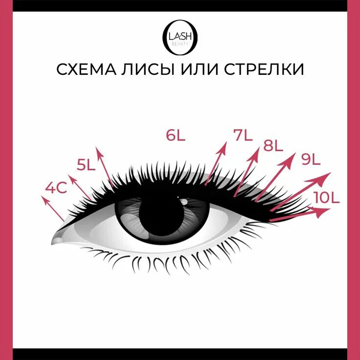 Классическое наращивание ресниц фото схема Pin on Ресницы