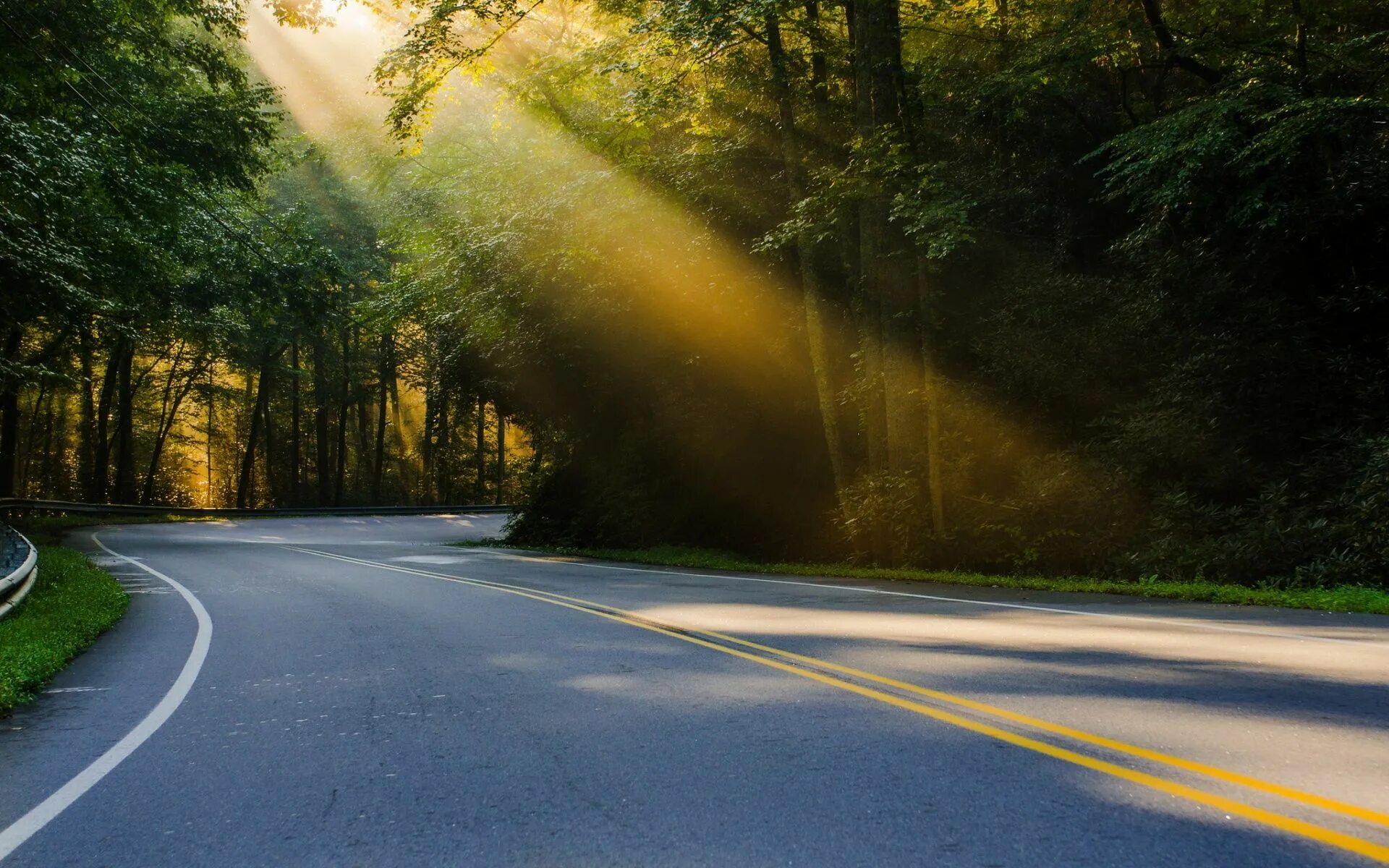 Классная дорога фото lovely Forest road, Road, Background