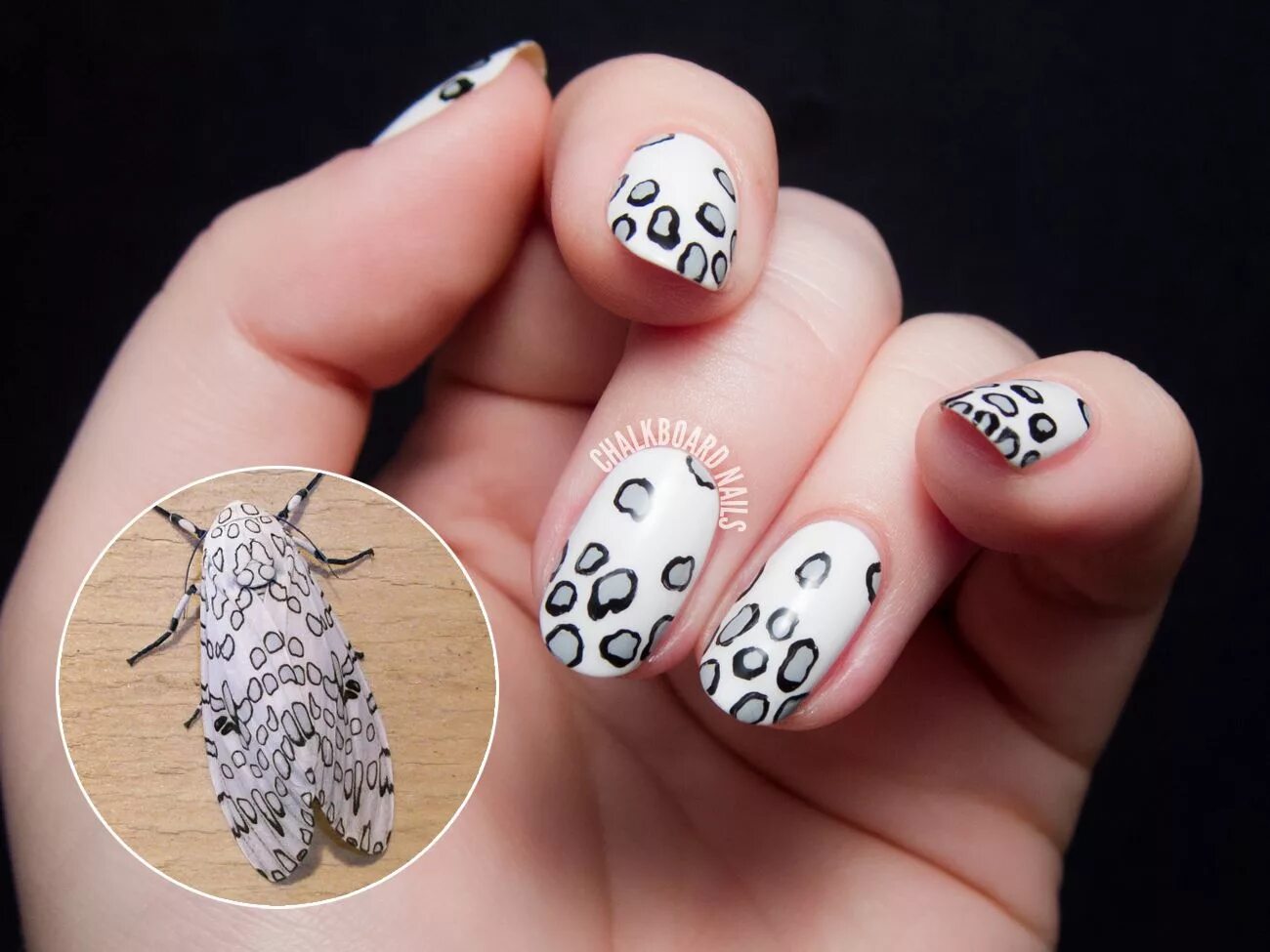Классные дизайны для маникюра с рисунками Giant Leopard Moth Inspired Nail Art Nails, Leopard moth, Leopard print nails