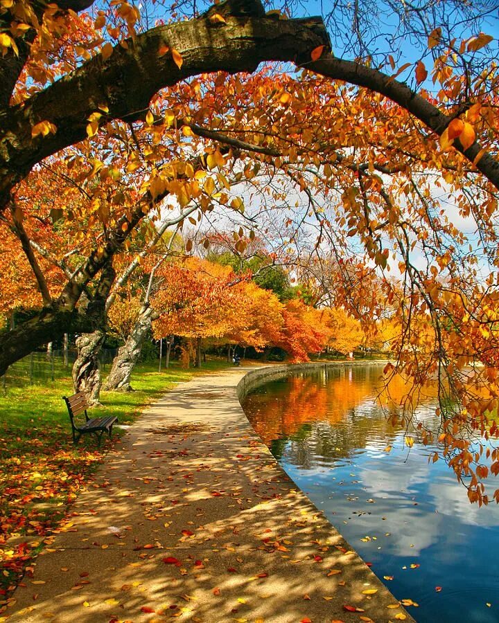 Классные фото осени Seasons Autumn landscape, Autumn scenery, Autumn photography