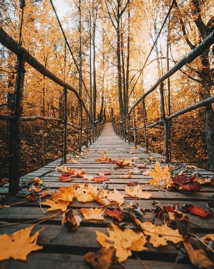 Классные фото осени Cozy up to autumn with these 10 reasons to love the fall season!