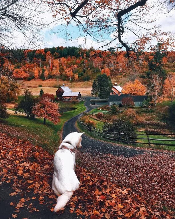 Классные фото осени VT: Sleepy Hollow Farm, Windsor County, Vermont, US. Autumn Memories. Nature, Au