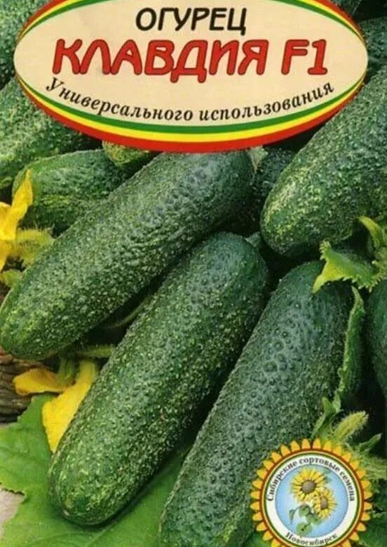 Клавдия сорта огурцов фото Рассада огурцов - купить в Зеленограде, цена 25 руб., продано 28 мая 2023 - Раст