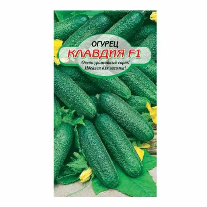 Клавдия сорта огурцов фото Семена огурца Сибирские Сортовые семена Клавдия F1 0,2 г - купить с доставкой на