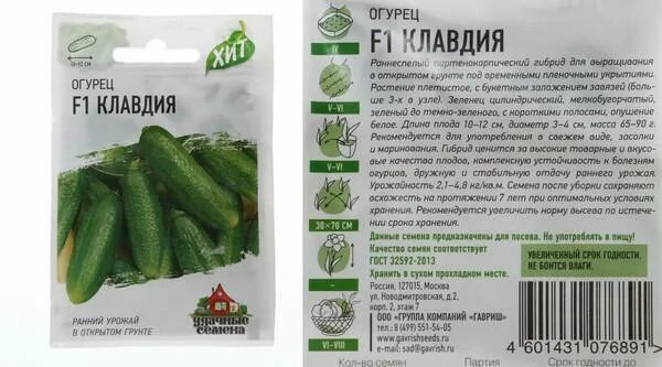 Клавдия сорта огурцов фото Огурцы Клавдия: характеристика и описание сорта, урожайность и выращивание с фот