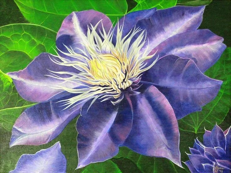 Клематис бездей герл фото Purple Clematis Original Acrylic Painting on Canvas Purple clematis, Acrylic pai