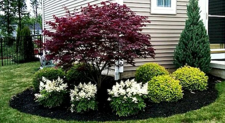 Клен серебристый фото в ландшафтном дизайне outstanding 45 Stunning Front Yard Landscaping Ideas on A Budget https://homedec