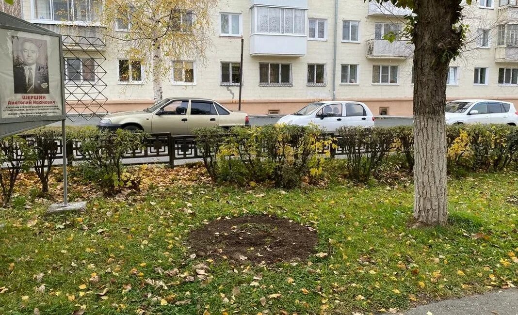 Клен ул николаева 15б фото Минус три клёна Газета Вестник