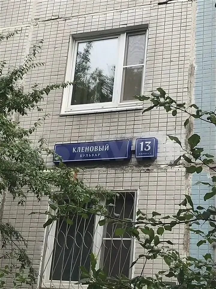 Клен ул николаева 15б фото 2-к квартира, 53 м², 5/12 эт. на продажу в Москве Купить квартиру Авито