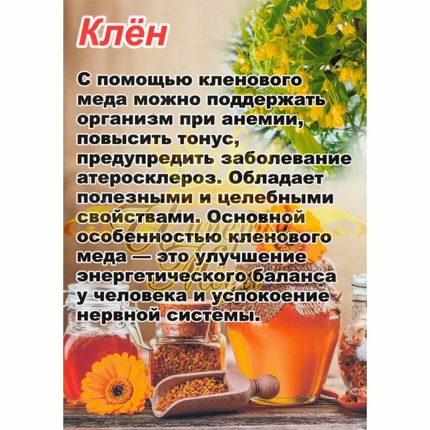 Кленовый мед фото Табличка на мёд "Клён" Империя мёда