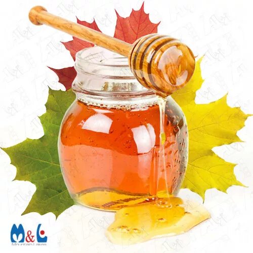 Кленовый мед фото Honey Maple