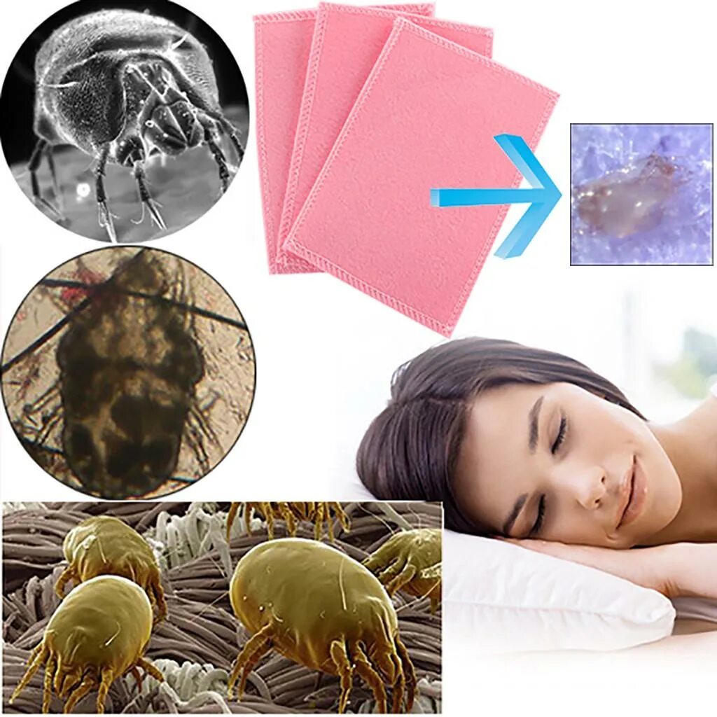 Клещ пылевой постельный фото Mite Killing Pad Anti-mite Pad Cushion For Home Hotel Killing Small - купить по 