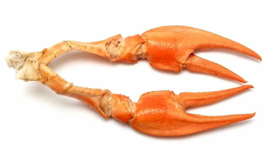 Клешни инструмент фото Короткие советы, как сварить правильный бульон из мяса, рыбы, овощей и даже рако