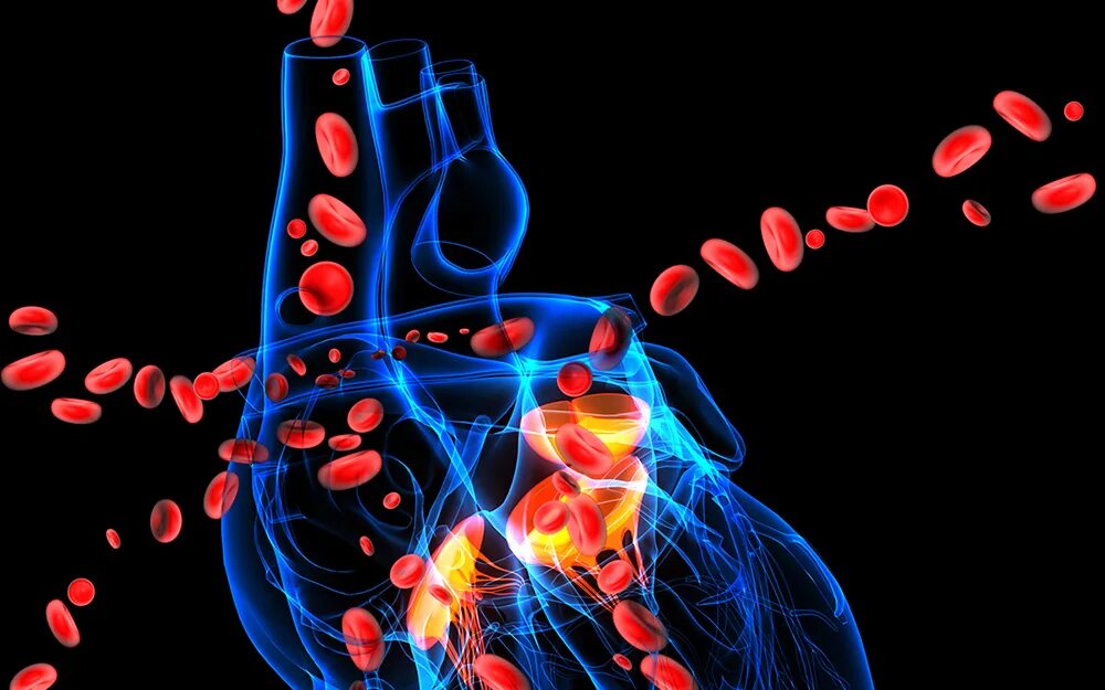 Клетки сердца фото Vascular Surgery - Los Angeles, CA Cedars-Sinai