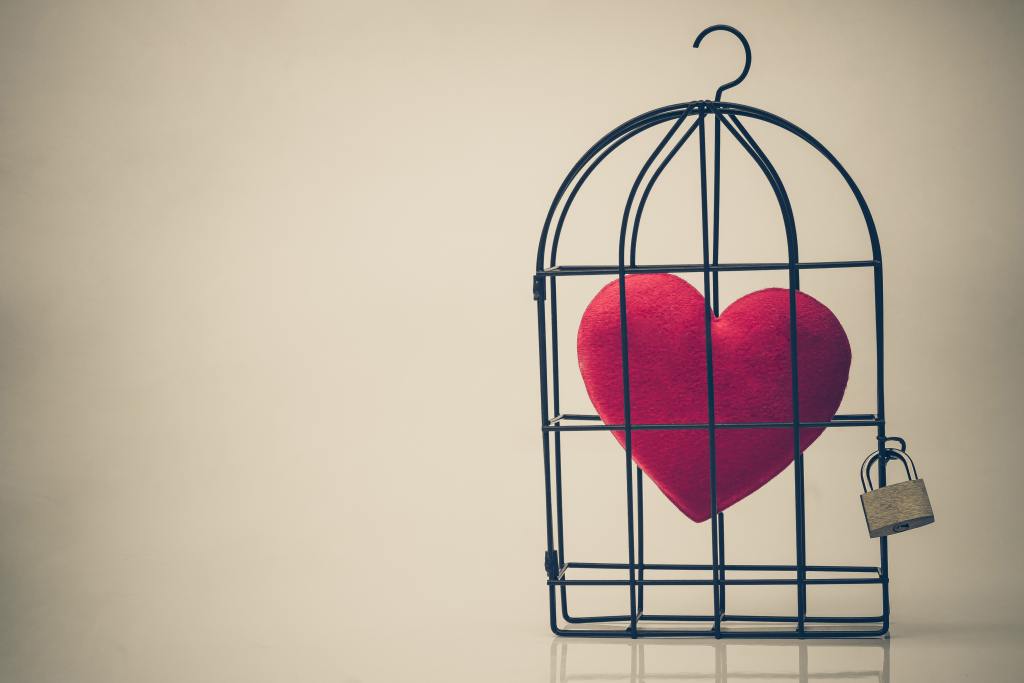 Клетки сердца фото caged heart