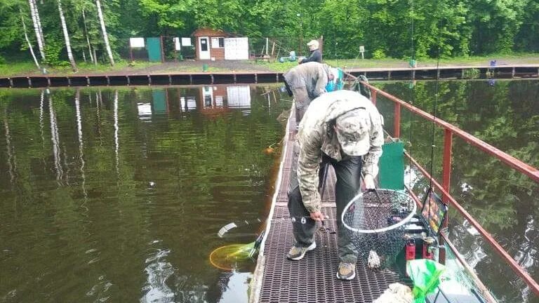 Клевое место лосиный остров фото Клевое место "Лосиный остров" - платная рыбалка в Мытищах Московской области