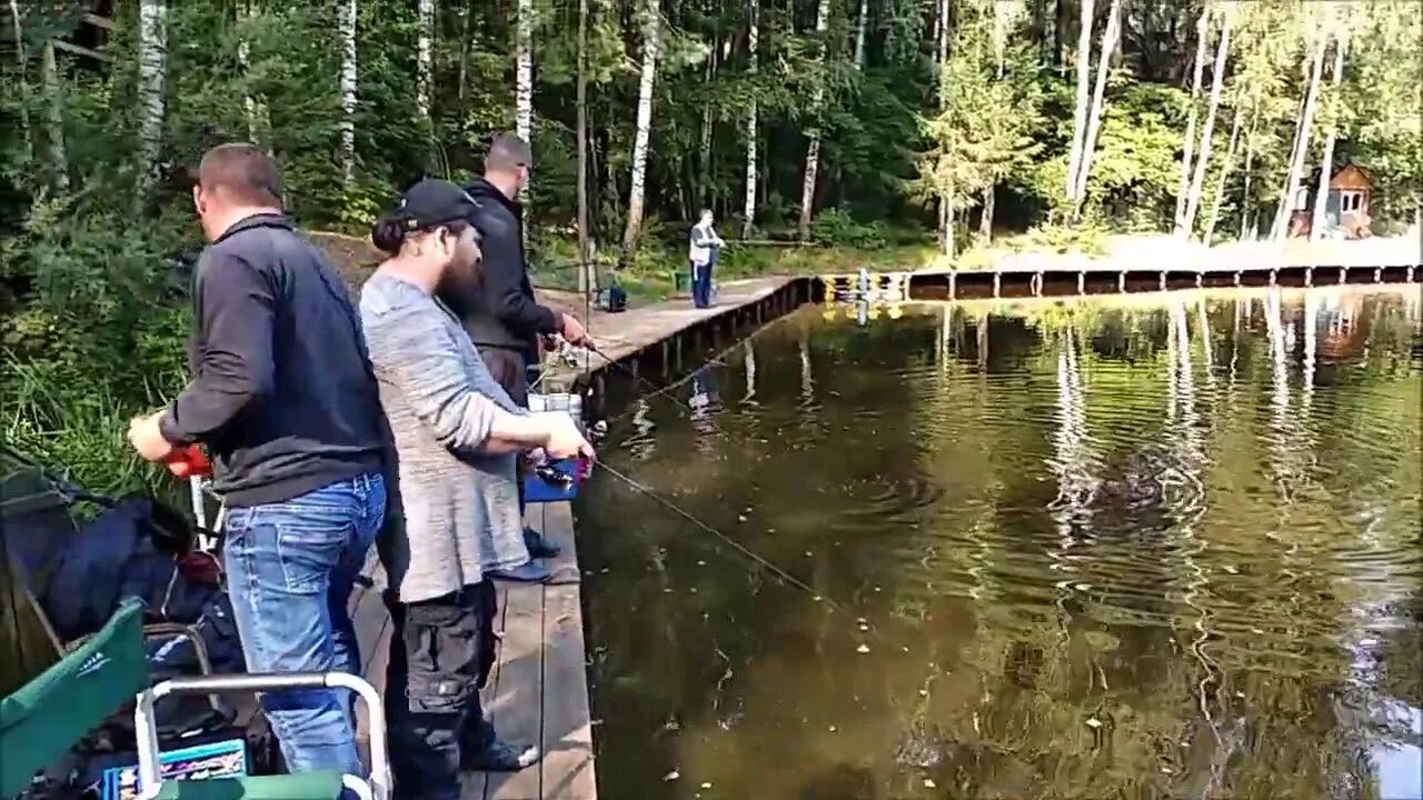 Клевое место лосиный остров фото Продолжение утреннего клёва форели на спорт зоне. Клёвое место, лосиный остров -