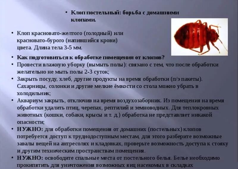 Клопы как выглядит укус как лечить Дезинфекционные, дезинсекционные и дератизационные работы