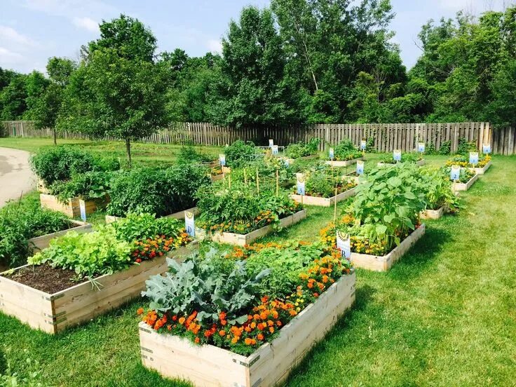 Клуб огород фото Красивый сад и дача - полезные рекомендации Community gardening, Garden design, 