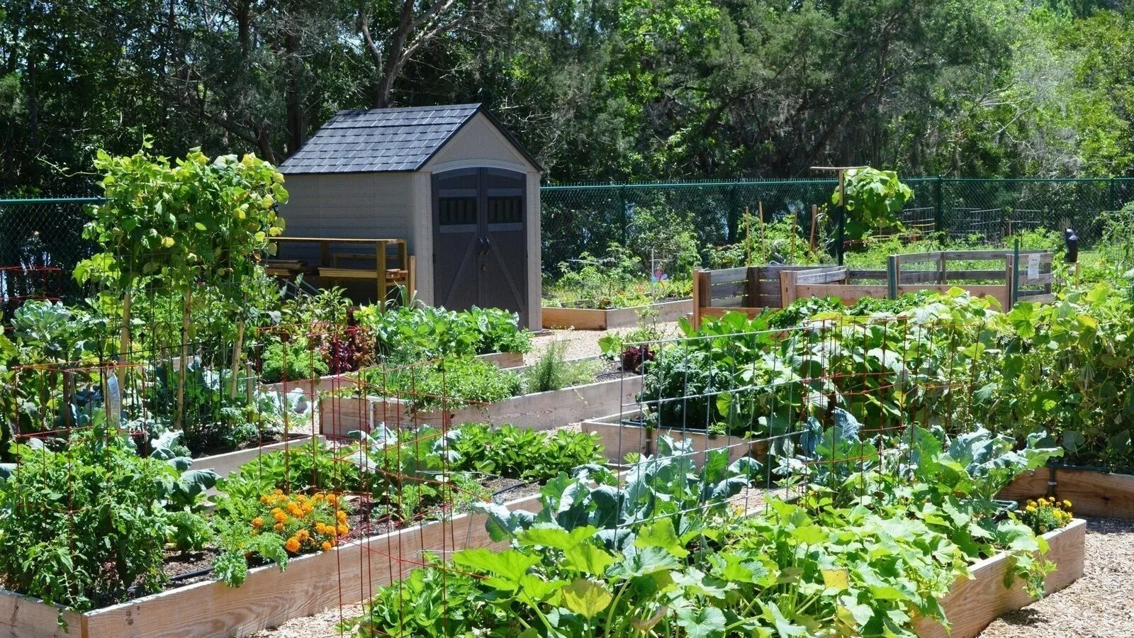 Клуб огород фото Petition - Create a Community Garden In Newport Beach, CA - United States - Chan