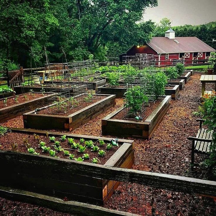 Клуб огород фото Marvelous diy l shaped raised garden bed that look beautiful Garden layout, Vege