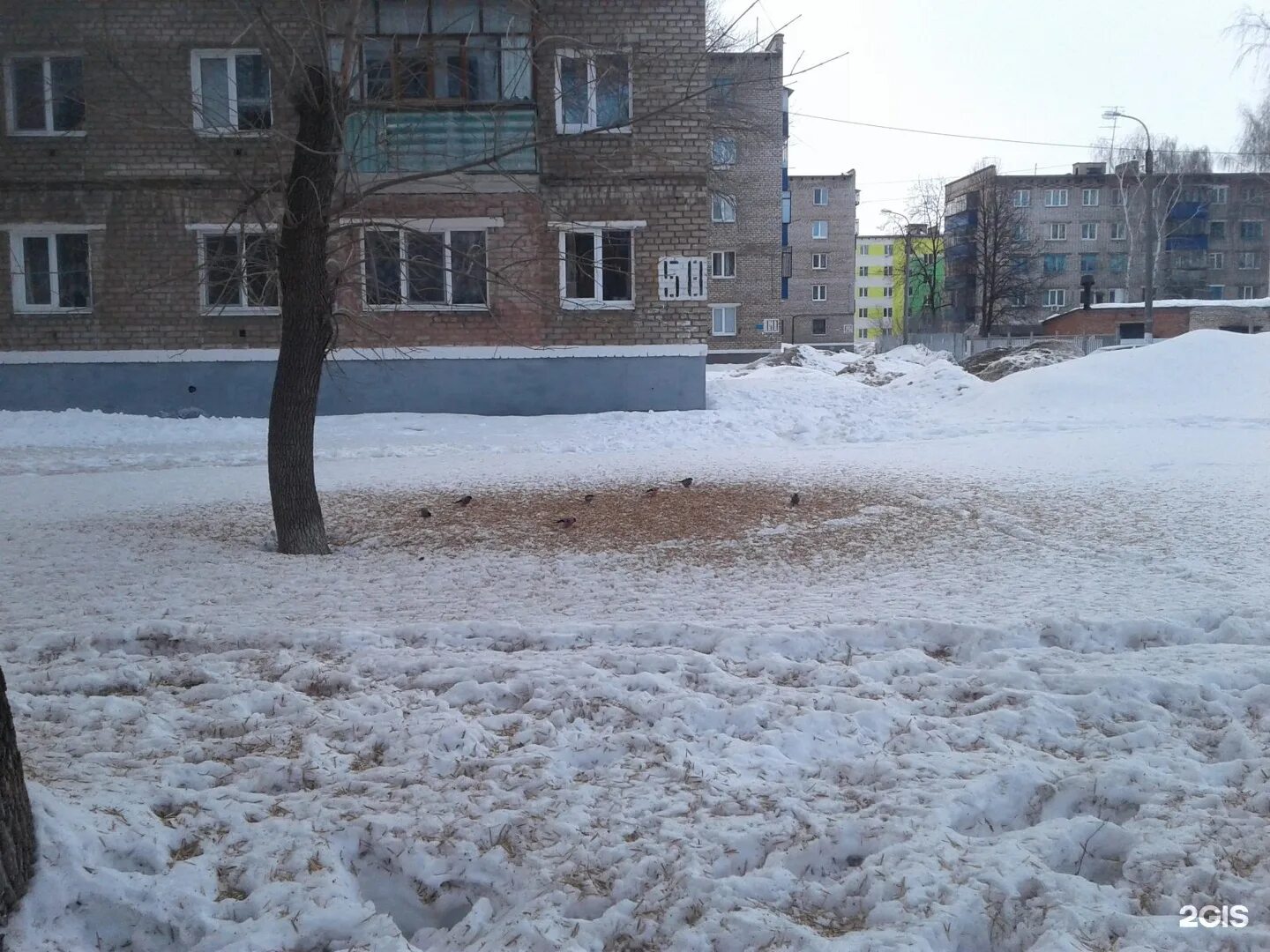 Клуб тагир ул дружбы 58 фото Улица дружбы стерлитамак