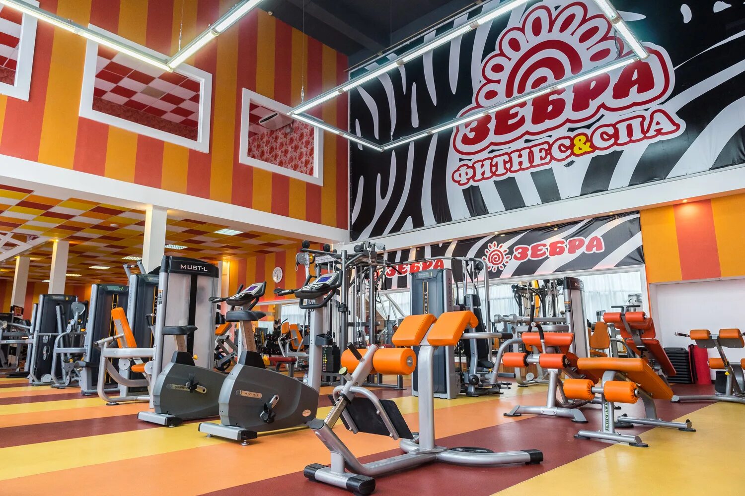 Клуб зебра фото Zebra, fitness club, Moscow, 3rd Nizhnelikhoborsky Drive, 1с16 - Yandex Maps