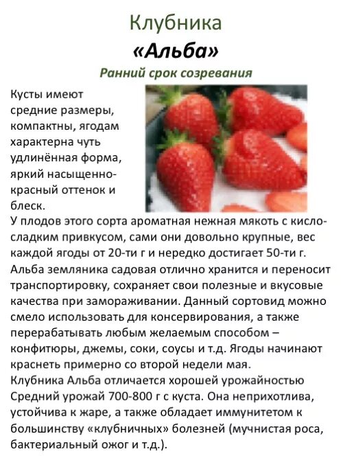 Клубника альба описание сорта фото отзывы Index of /collect/obst/klubnika