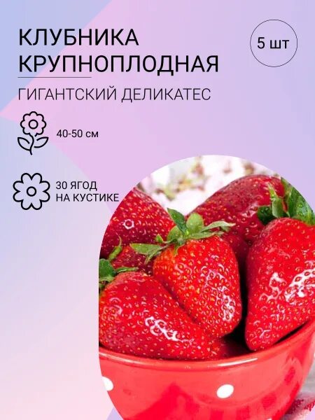 Клубника деликатес описание сорта фото Вопросы и ответы о Клубника крупнонплодная Гигантский Деликатес - OZON (53116342