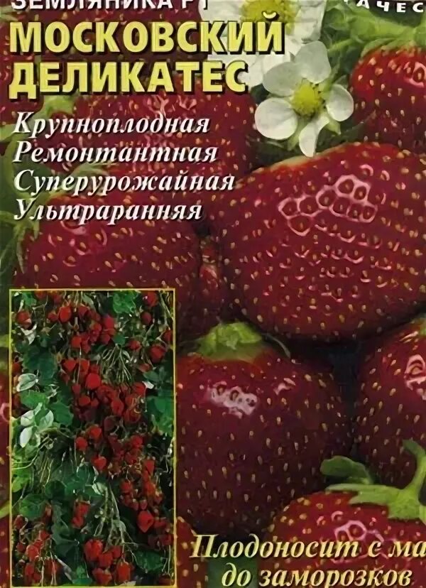 Клубника деликатес описание сорта фото Клубника Машенька - обсуждение (30949604) на форуме nn.ru