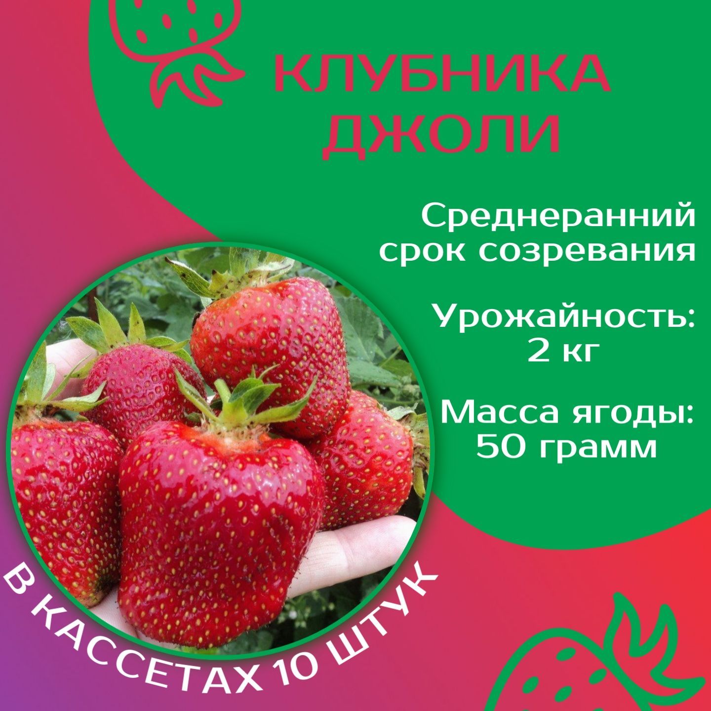 Клубника джоли отзывы фото Клубника Шебекенский джолл10 - купить по выгодным ценам в интернет-магазине OZON