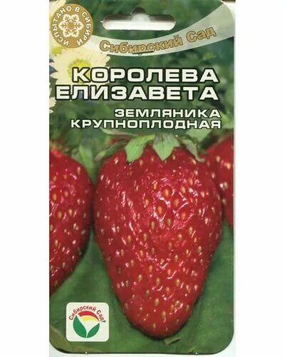 Клубника елизавета описание фото отзывы садоводов Клубника Королева Елизавета (10шт) Сибирский сад - купить в интернет-магазине по