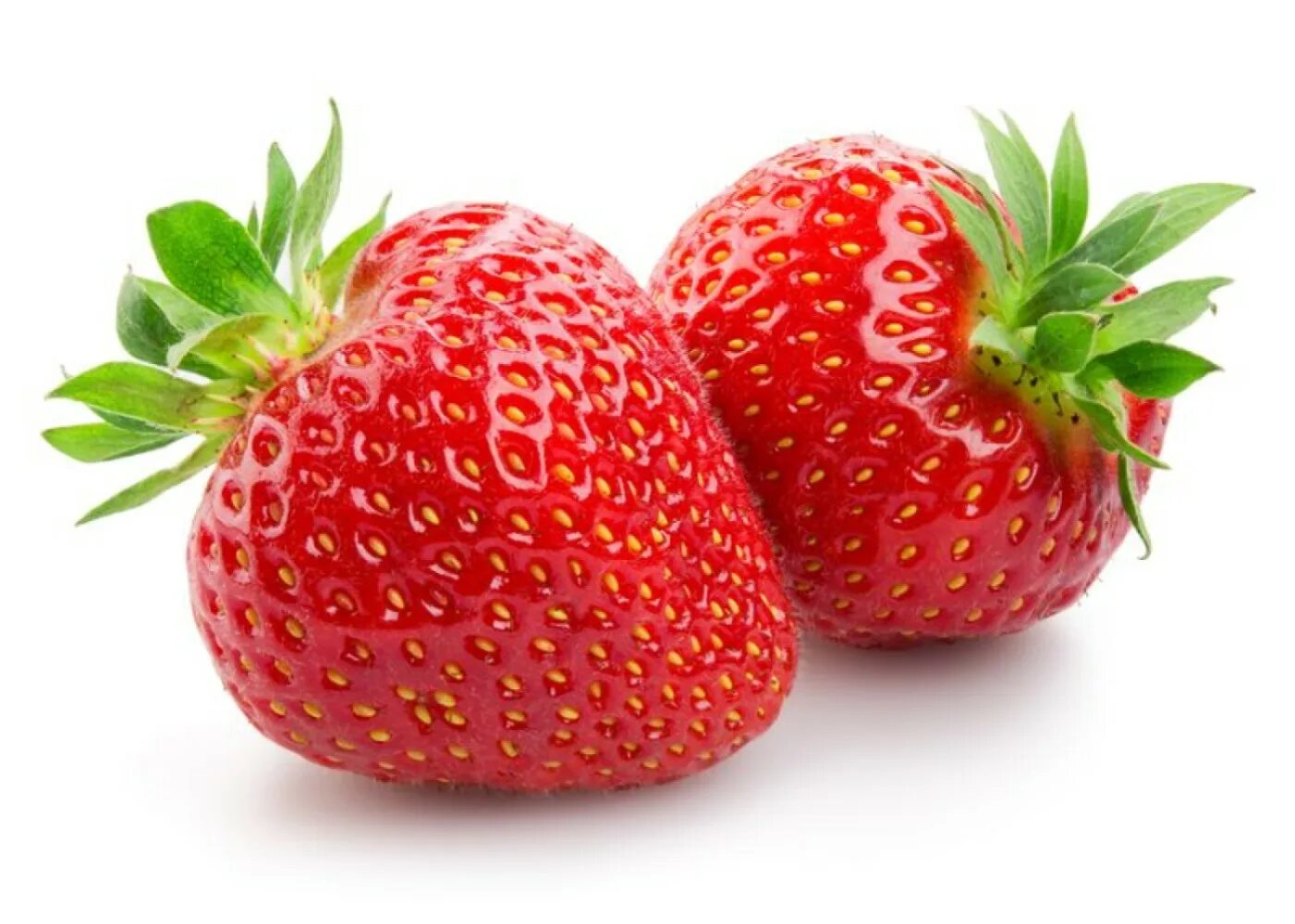 Клубника фото Optimising supply chain efficiency of strawberries with a digital twin - WUR